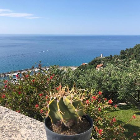 Villa Degli Ulivi B&B Finale Ligure Exterior foto