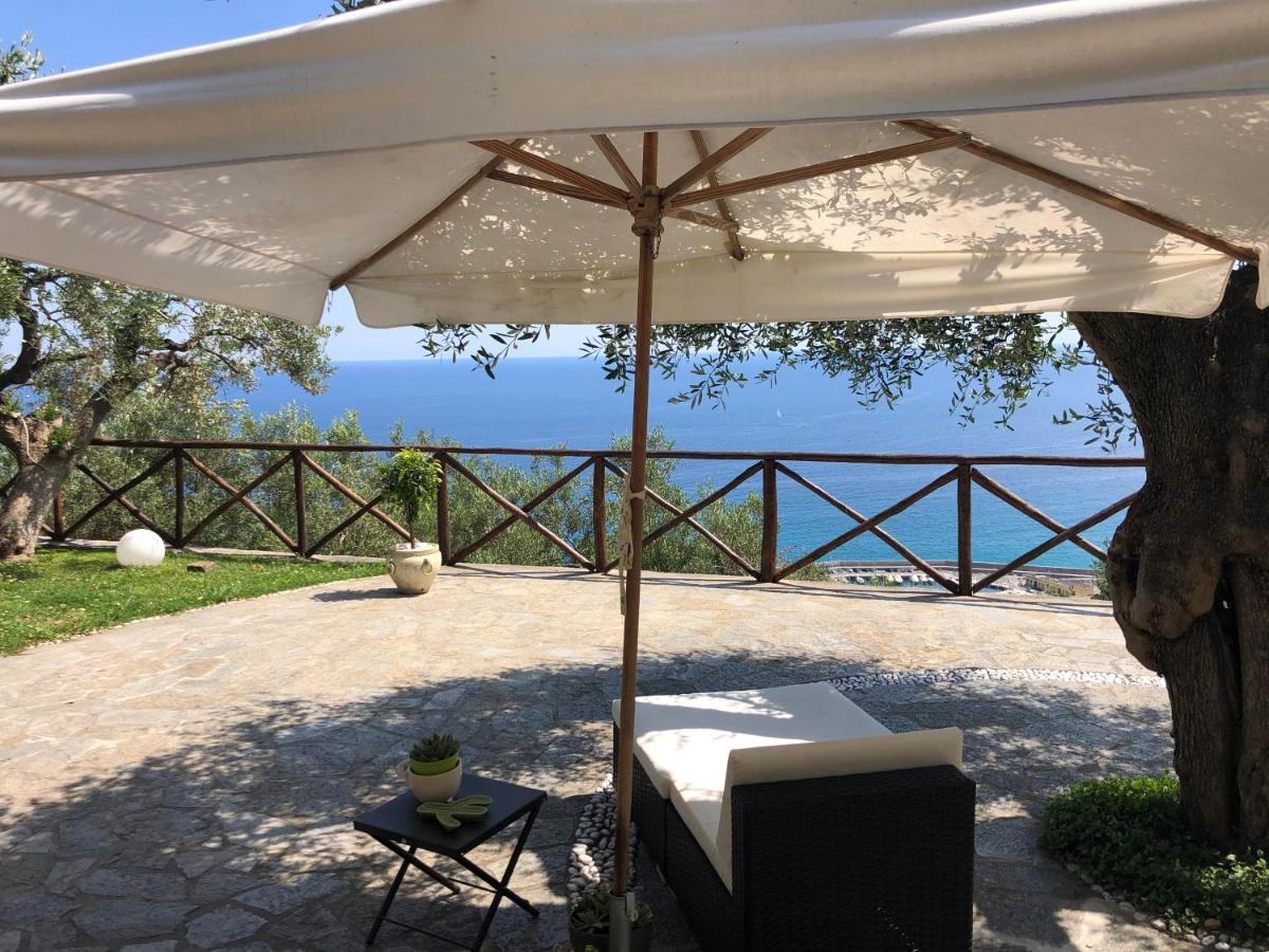 Villa Degli Ulivi B&B Finale Ligure Exterior foto